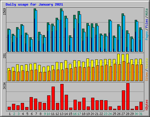 Daily usage for January 2021