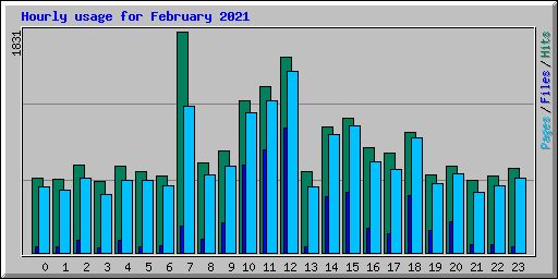 Hourly usage for February 2021