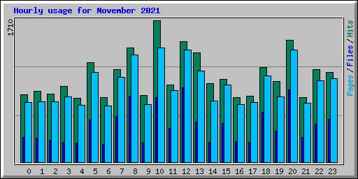 Hourly usage for November 2021