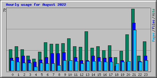 Hourly usage for August 2022