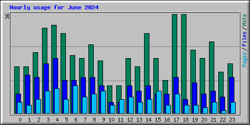Hourly usage for June 2024