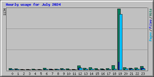 Hourly usage for July 2024